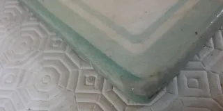 Piastrelle decorative con palma