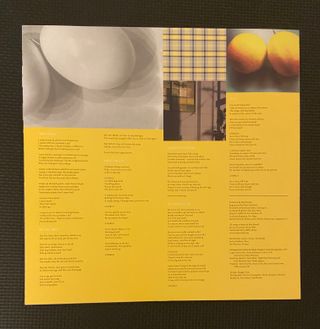 Bob Mould Beauty & Ruin LP Vinile