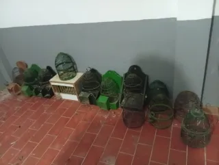 Lote de jaulas para perdices