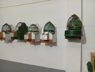 Lote de jaulas para perdices