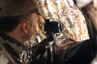 Hide fotografía camuflaje