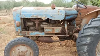 Tractor Ebro Super 55