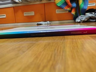 Trébol segundo trimestre primaria Santillana