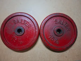 2 Discos SALTER (15 kg por disco).
