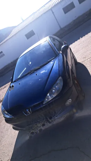 Peugeot 206 2003
