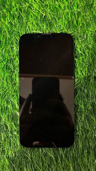 Schermo iPhone 13 Pro Originale