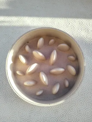 Ciotola anti-ingozzamento per cani