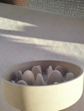 Ciotola anti-ingozzamento per cani