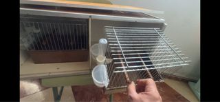 Jaulas Canto 4 modelo 2 gr con 2 Transportines