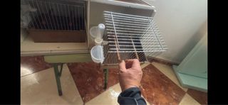 Jaulas Canto 4 modelo 2 gr con 2 Transportines