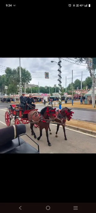 Coches de caballos para ferias, bodas, romerias