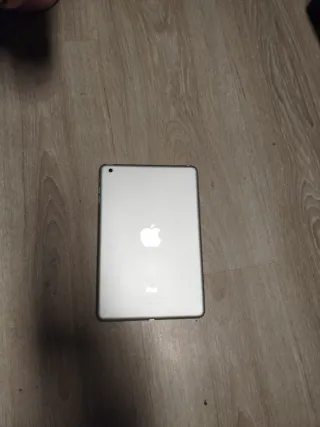 Apple iPad mini (2012) plata
