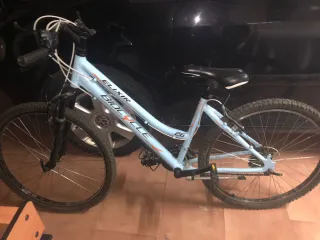 Bicicleta Elixir Biocycle 26