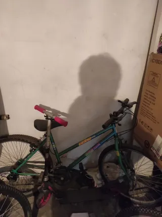 Bicicleta MTB clásica verde