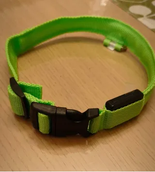 Collare per Cani in nylon con LED XL ⭐ Nuovo ⭐