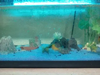 Vendo acuario grande