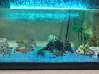 Vendo acuario grande