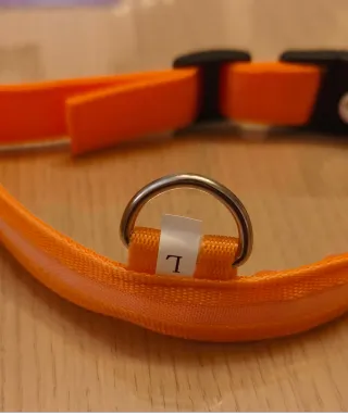 Collare per Cani in nylon con LED L⭐ Nuovo ⭐