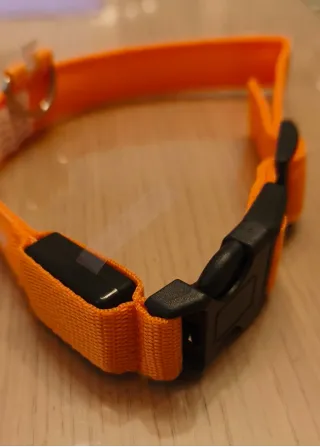 Collare per Cani in nylon con LED L⭐ Nuovo ⭐