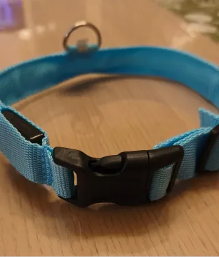 Collare per Cani in nylon con LED XL ⭐ Nuovo ⭐