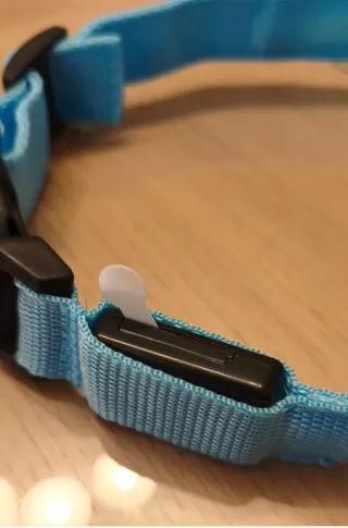 Collare per Cani in nylon con LED XL ⭐ Nuovo ⭐