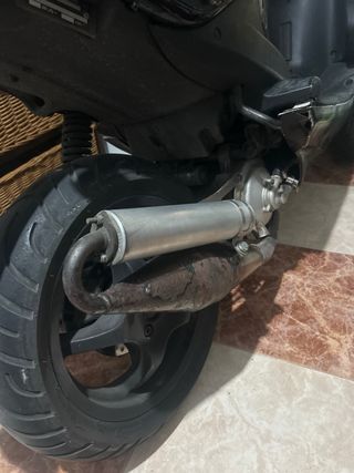 Escape Yasuni z para miranelli hirizontal