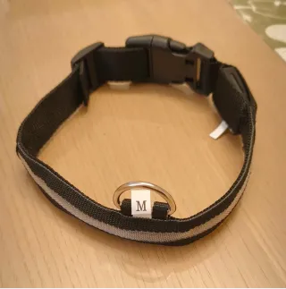 Collare per Cani in nylon con LED M⭐ Nuovo ⭐