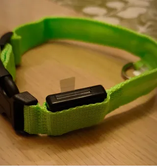 Collare per Cani in nylon con LED M ⭐ Nuovo ⭐