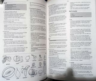 Oxford Learner's Wordfinder Dictionary