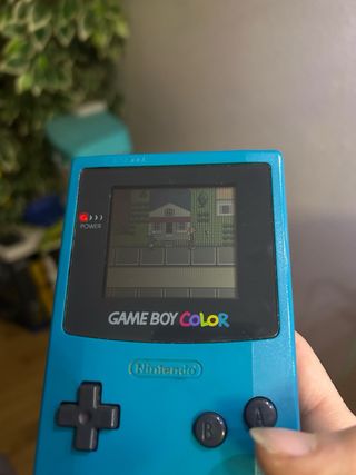 Doug's Big Game - Game Boy Color