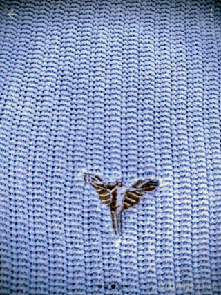 Jersey Carlo Colucci Azul