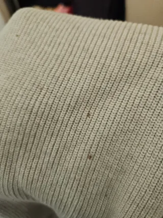 Jersey Springfield Beige Talla M