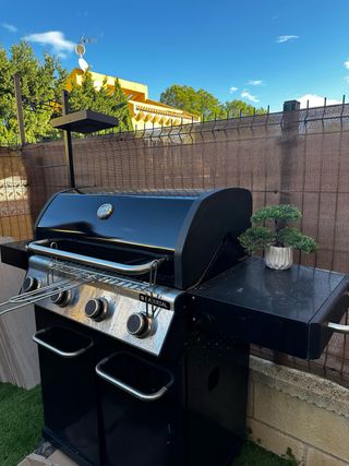 Barbacoa de gas negra y plateada