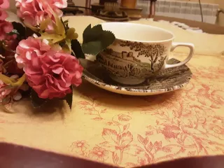 Taza de té Johnson Brothers con plato