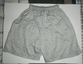 Pantalones NOFS cortos grises