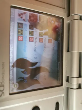 Nintendo DS fat Gris + Cargador con juegos