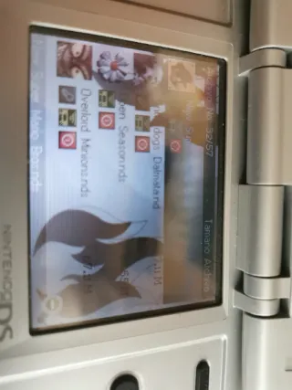 Nintendo DS fat Gris + Cargador con juegos