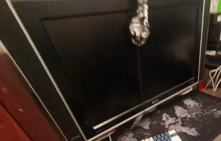 Televisor Philips 32PFS5310/12 120W