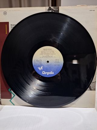 UFO Making Contact Vinil LP