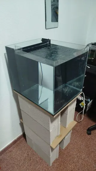 Acuario