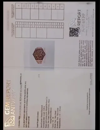 Anillo Oro Rosa 14k Pavé