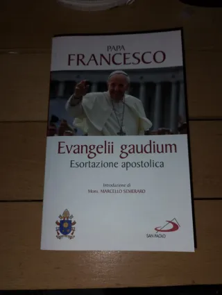 Evangelii gaudium. Esortazione apostolica