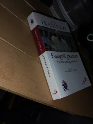 Evangelii gaudium. Esortazione apostolica