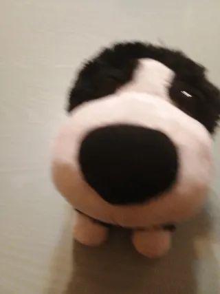 Peluche cane bianco e nero
