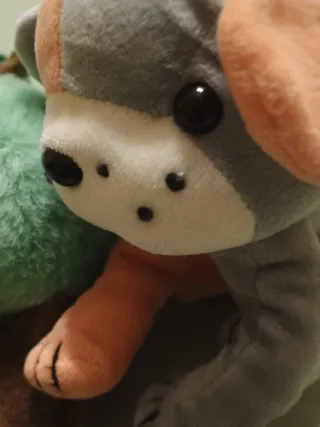 2 Peluche Giocattolo