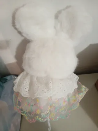 Nommi weather forecast arcobaleno rainbow