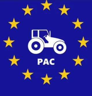 Derechos de la pac region 6