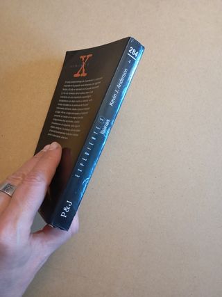 Expediente X: ruinas