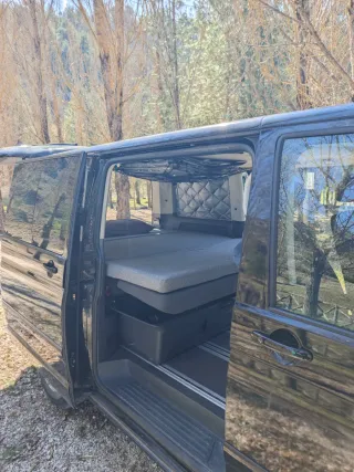 Volkswagen Multivan 2005