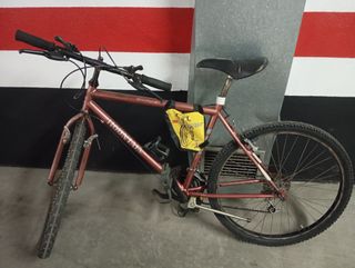 Bicicleta de montaña